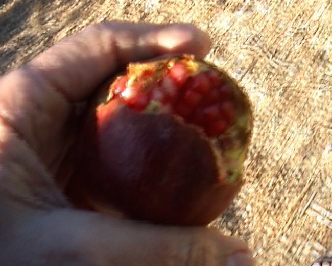 Sessão extra: SEQUÊNCIAS 21-22, de Sérgio Taborda