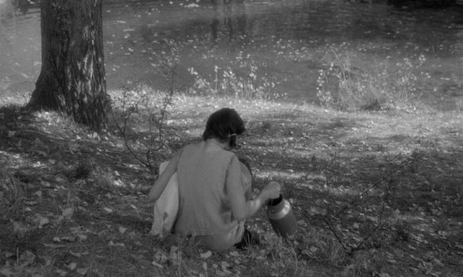 A infância toma conta da Cinemateca em fevereiro