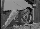 Imagens de Portugal 130