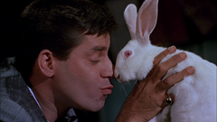 Junho na Cinemateca - destaques da programação