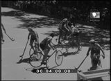 Imagens de Portugal 229
