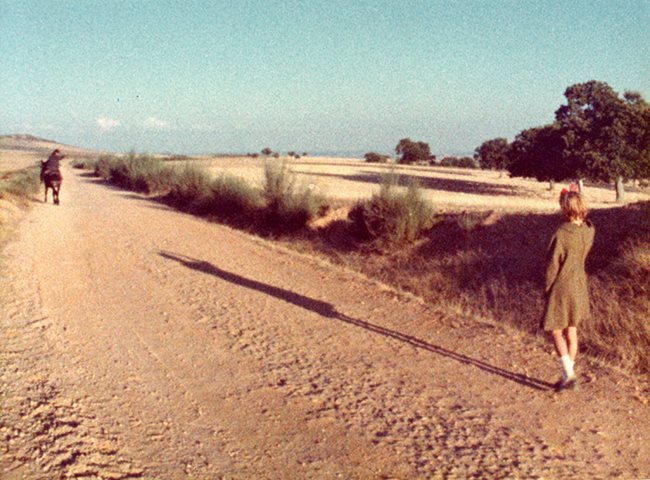 A Escola de Cinema, o regresso das “Histórias do Cinema” com P. Adams Sitney, a evocação de Harry Belafonte e os filmes de Francisco