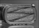 Imagens de Portugal 158