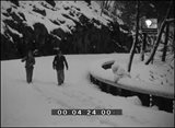 Imagens de Portugal 79