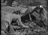 Imagens de Portugal 128