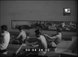 Imagens de Portugal 394