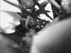 Sala de Projeção: Rita Azevedo Gomes, 