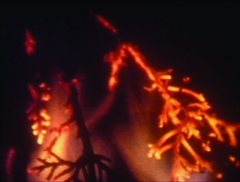 UFA e filmes de Jorge de Oliveira na 6x2