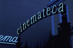 Reabertura de serviços da Cinemateca