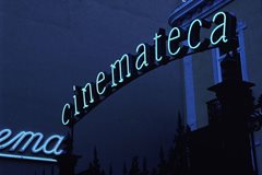 Reabertura de serviços da Cinemateca