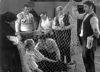 Cinemateca estreia-se no Nitrate Picture Show com cópia de ALA-ARRIBA!