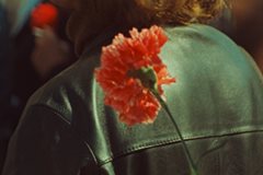 Imagens em Movimento – do Cinema Novo à Revolução