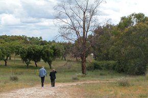 Sessão de homenagem a Michael Biberstein