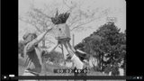 Apicultura 