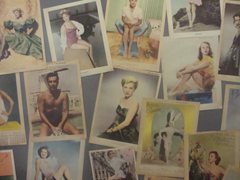 Exposição - Coleções Imperfeitas