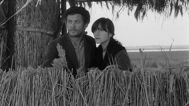 Ciclo de Cinema Português percorre Espanha, de dezembro a abril